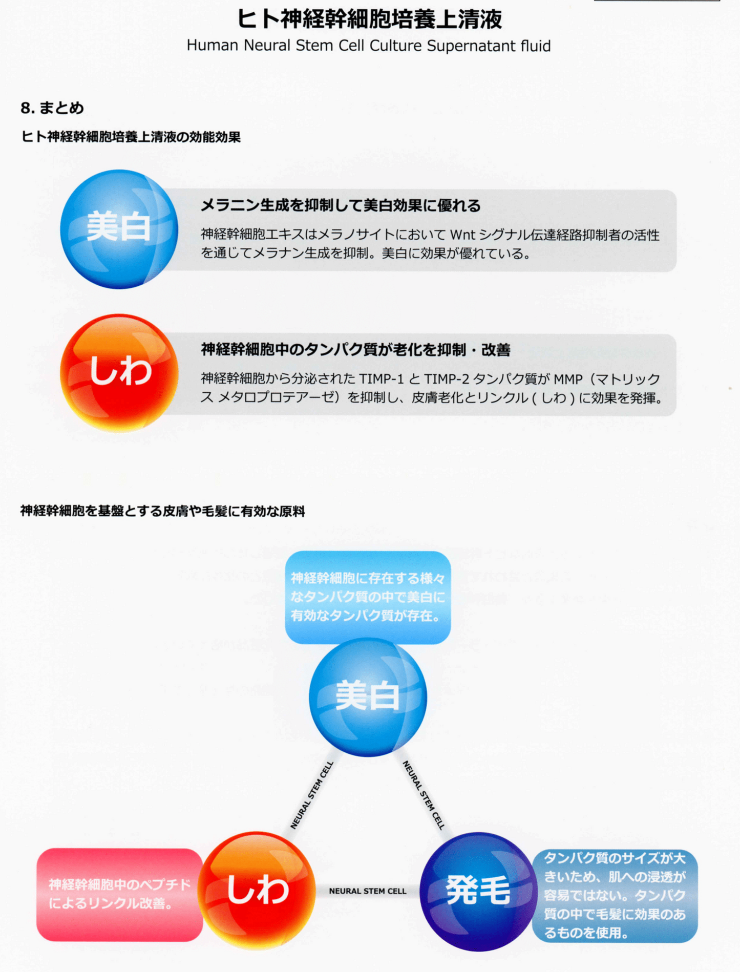 Revi延髄幹細胞アイシャドウ 9COLORS