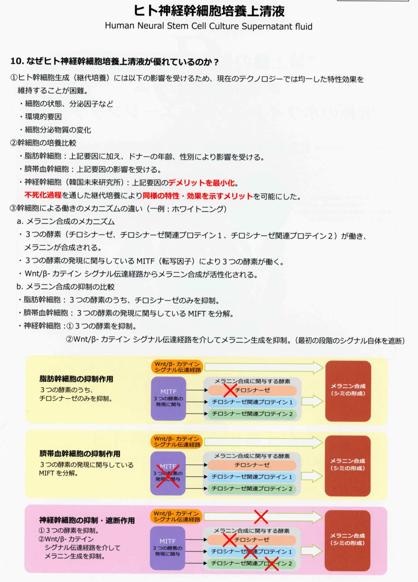 Revi延髄幹細胞アイシャドウ 9COLORS