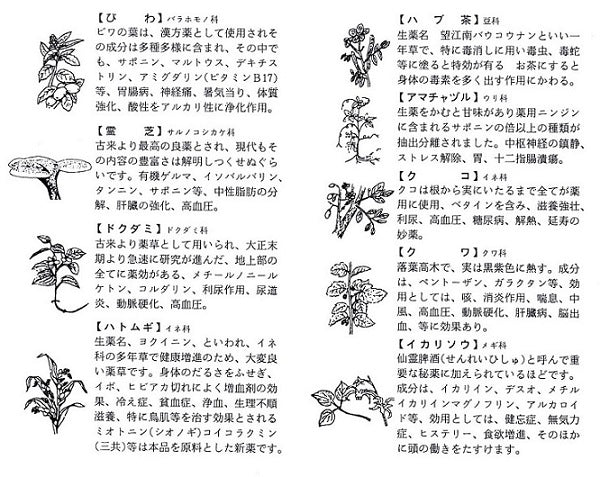 健康茶1箱(30包)