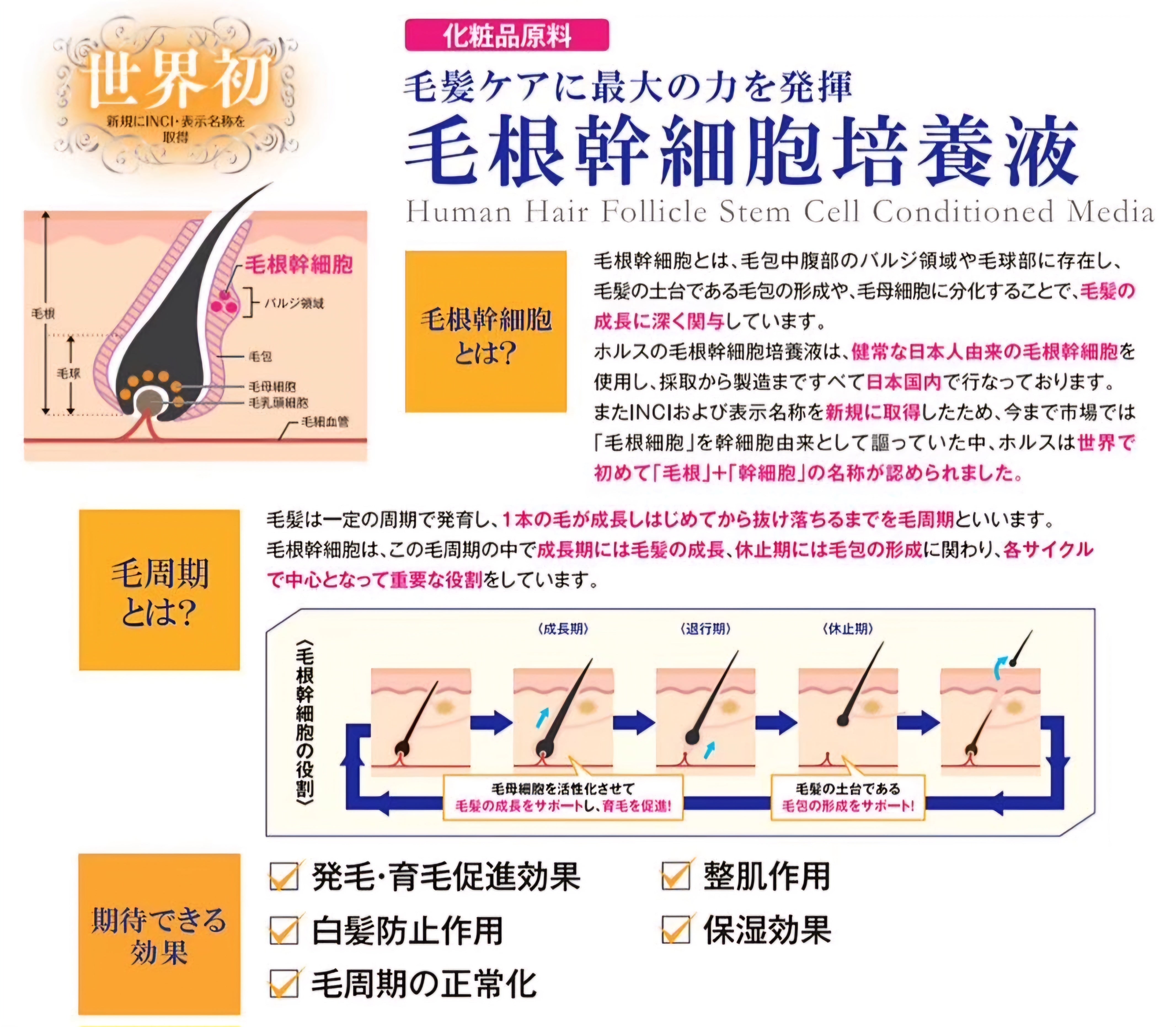 ともみいちゃん　新品　エヴォアイ　アイラッシュ　フォーミュラ3ml １本 evobeaute あなた史上最高の目ヂカラ完成 信頼のドイツ製