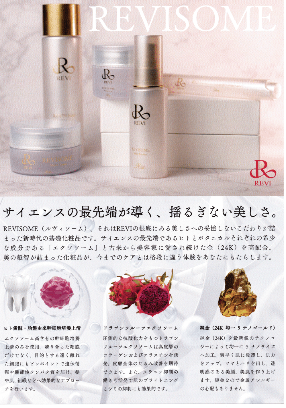Reviエクソソーム モーニングクリーム(50g)オールインワン