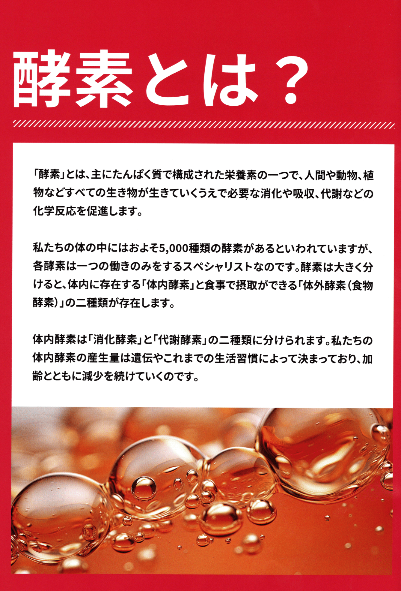 Revi400種類の酵素(1L)エンザイムドリンク