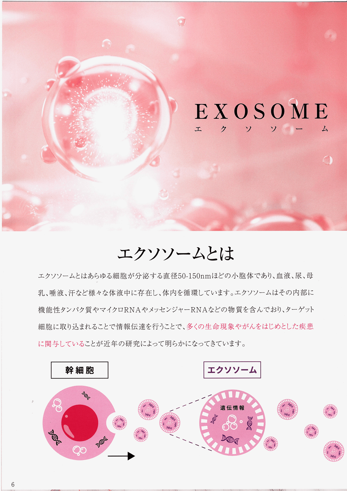 Reviエクソソーム モーニングクリーム(50g)オールインワン