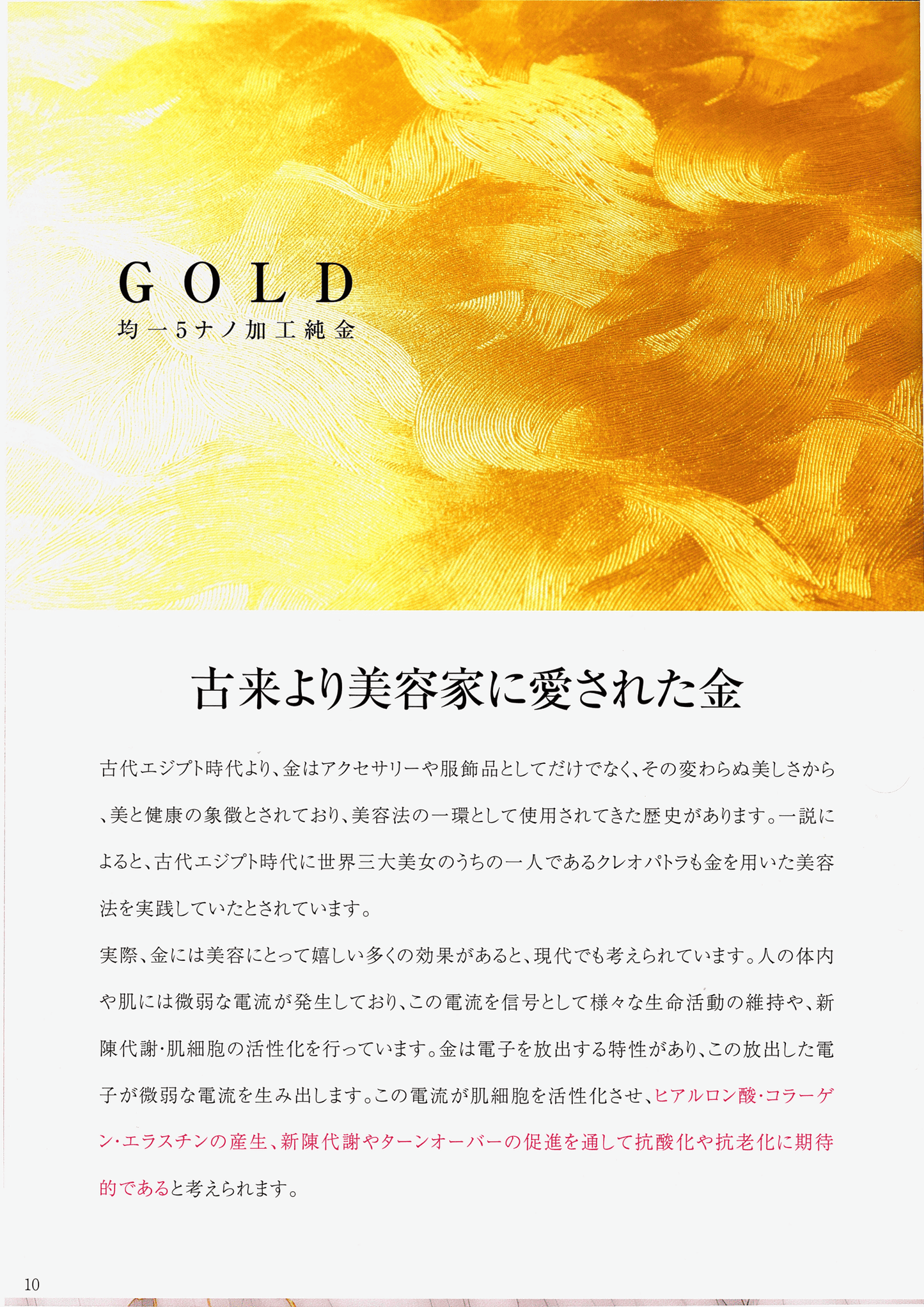 Reviエクソソーム モイストクリーム(30g)