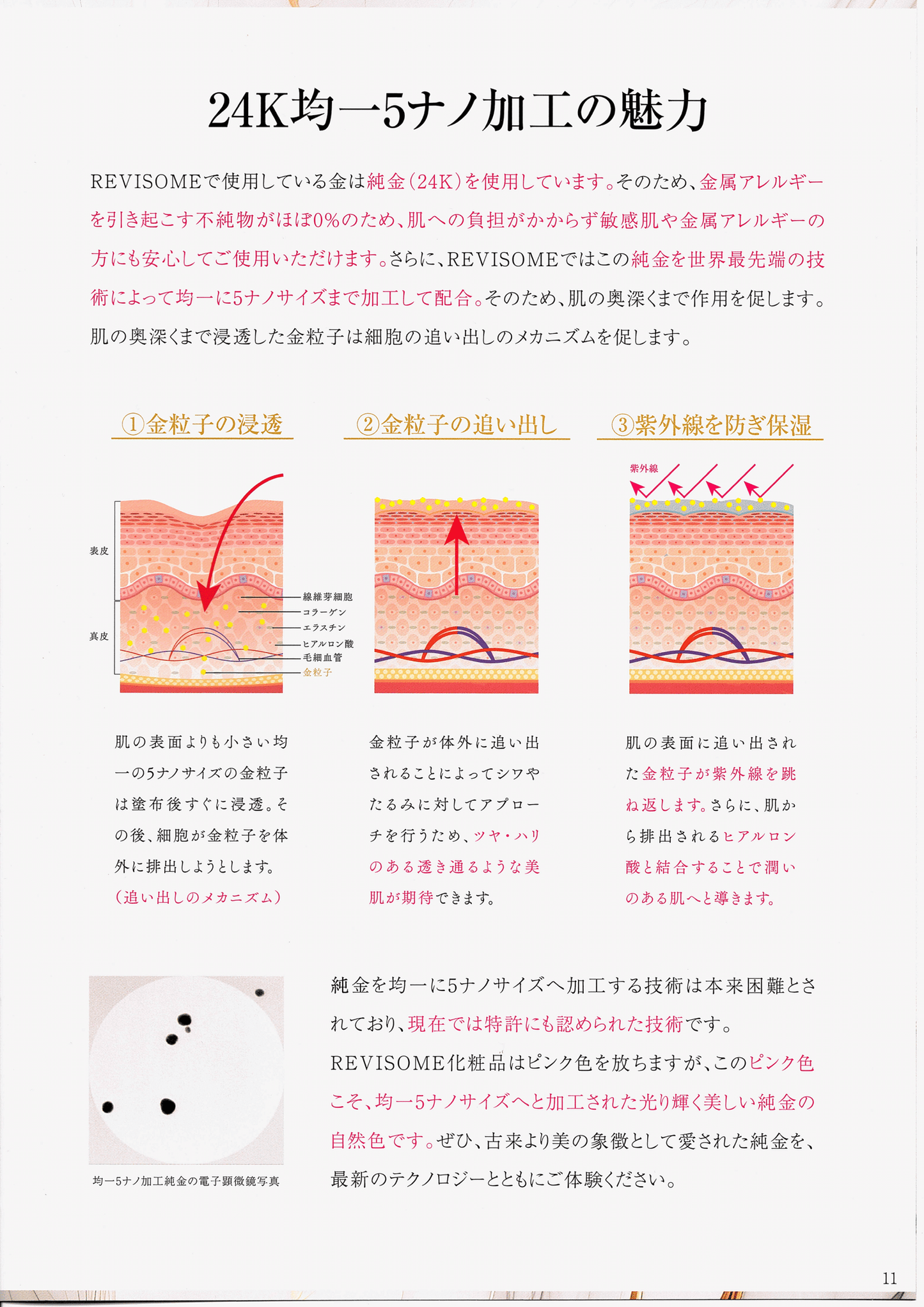 Reviエクソソーム モイストエッセンス(50ml)【ブースター】