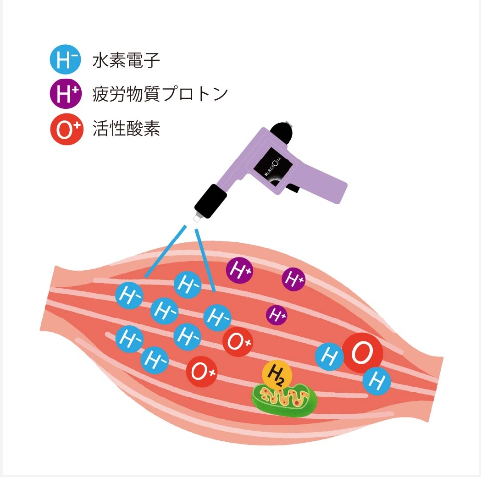 打つ水素 高圧振動波 筋膜リリース