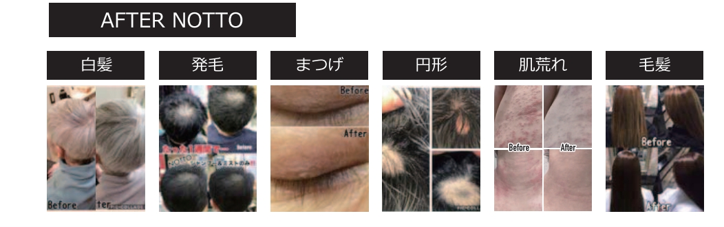 NOTTO(ノット) HD No.2 Treatment(トリートメント) 300g