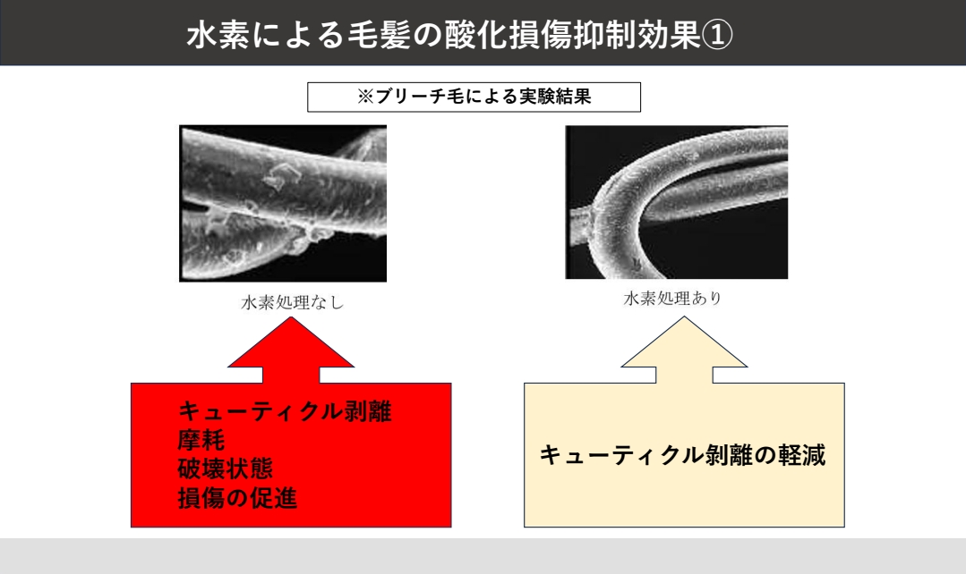 NOTTO(ノット) HD No.2 Treatment(トリートメント) 300g