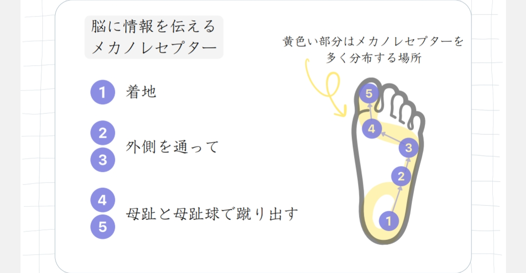 高機能・遠赤外線アンクルソックス
