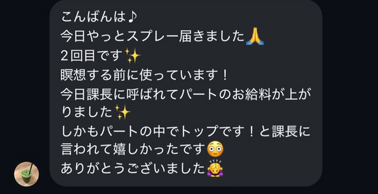 浄化・エネルギー調整スプレー(100ml)【⚠️カード決済不可、お振込のみ対応】