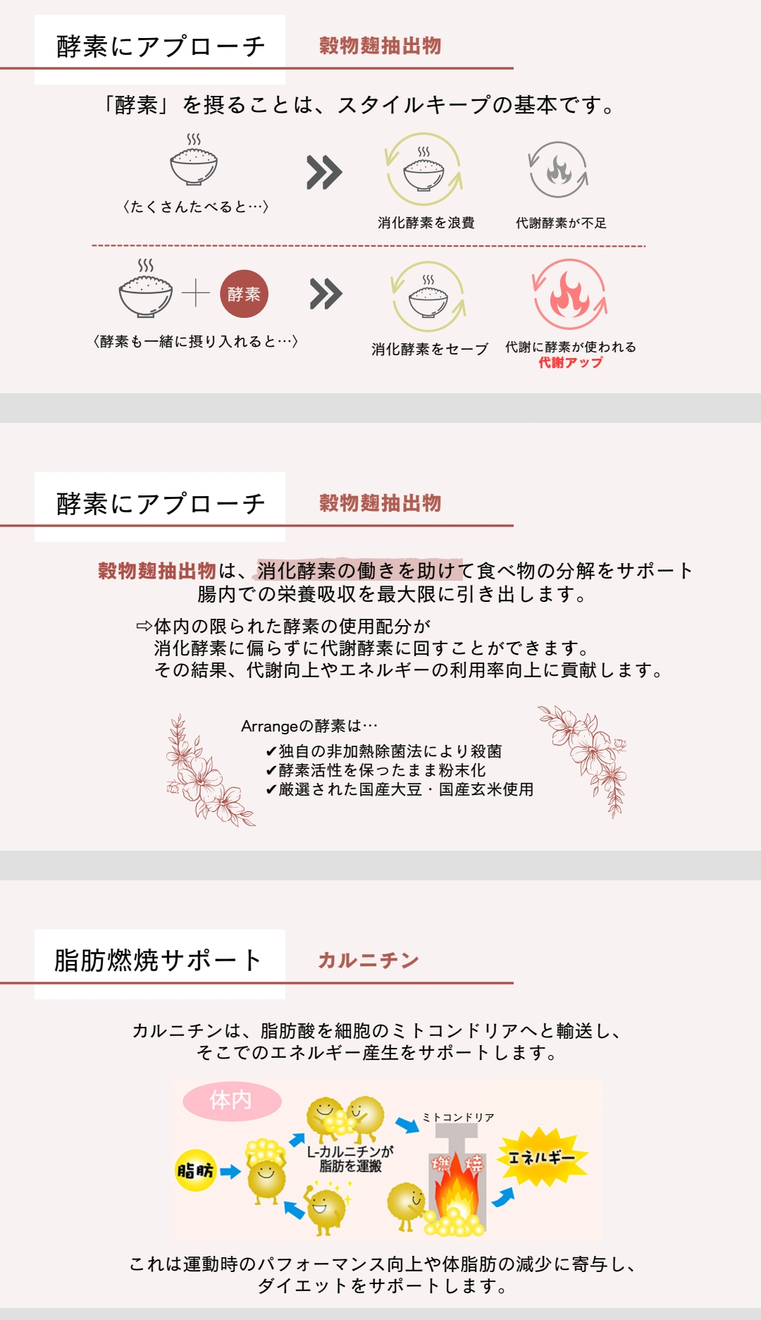 食前、食後のサポート
