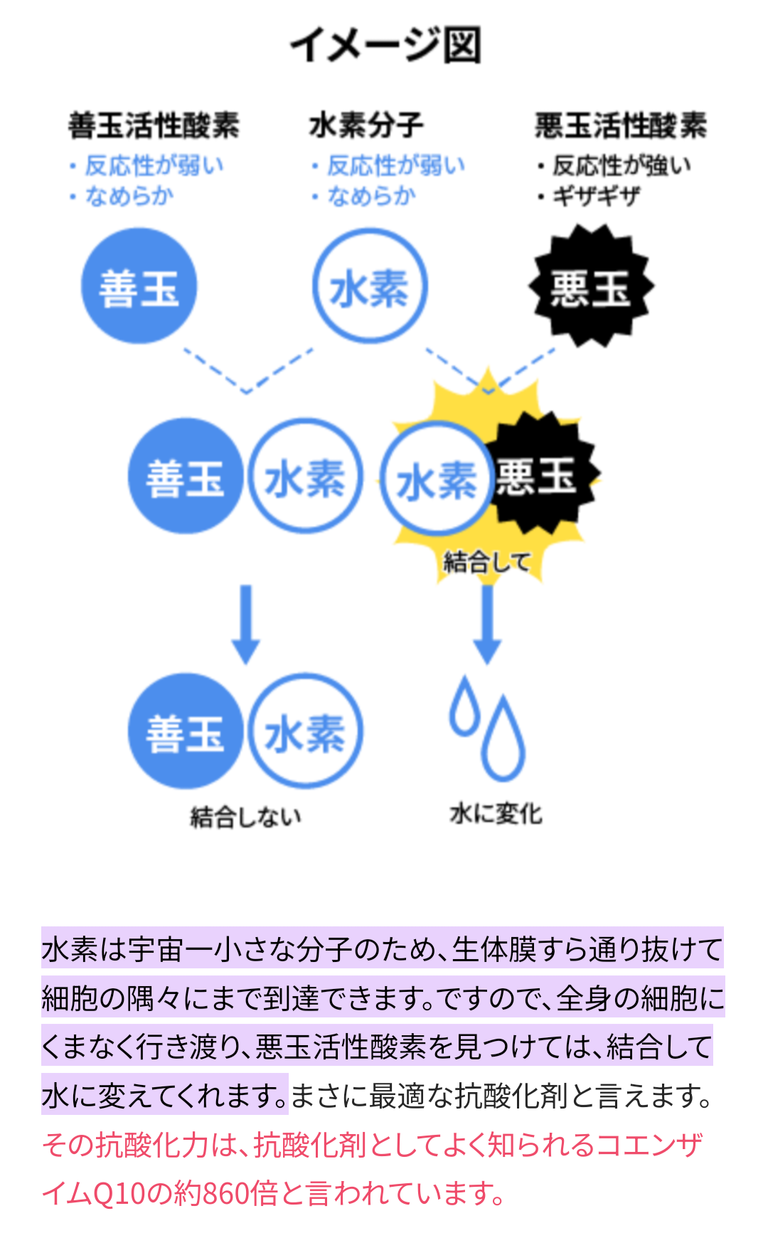 Lakshmi Enzyme〜ラクシュミーエンザイム〜(90包)1日3回
