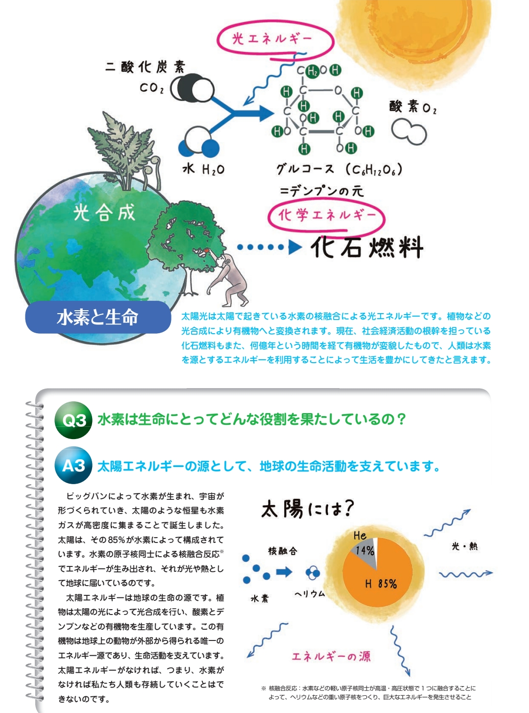 Lakshmi Enzyme〜ラクシュミーエンザイム〜(90包)1日3回