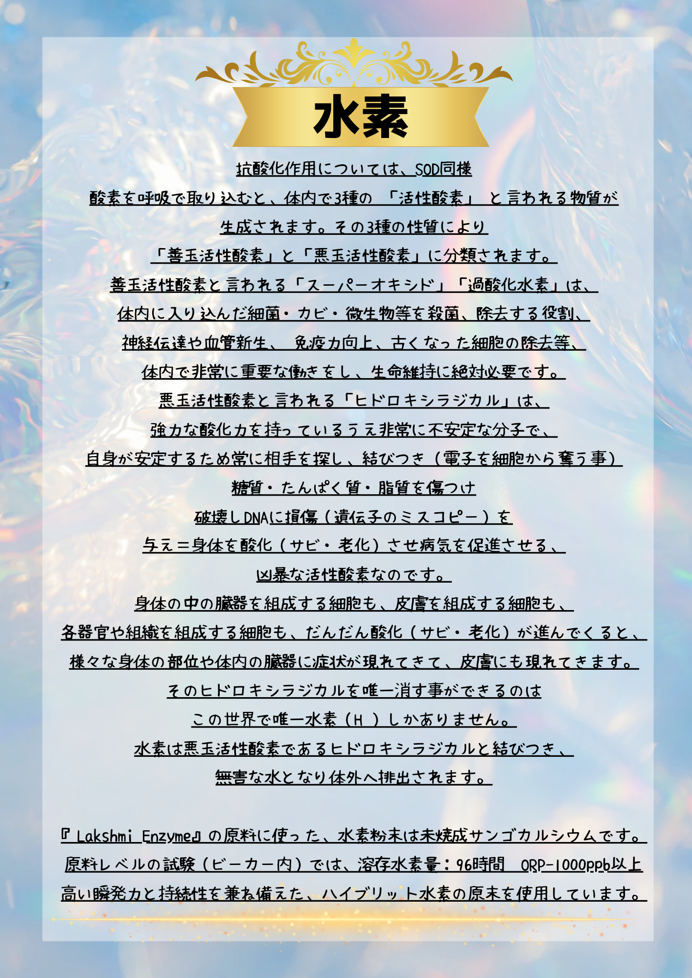 Lakshmi Enzyme〜ラクシュミーエンザイム〜(90包)1日3回