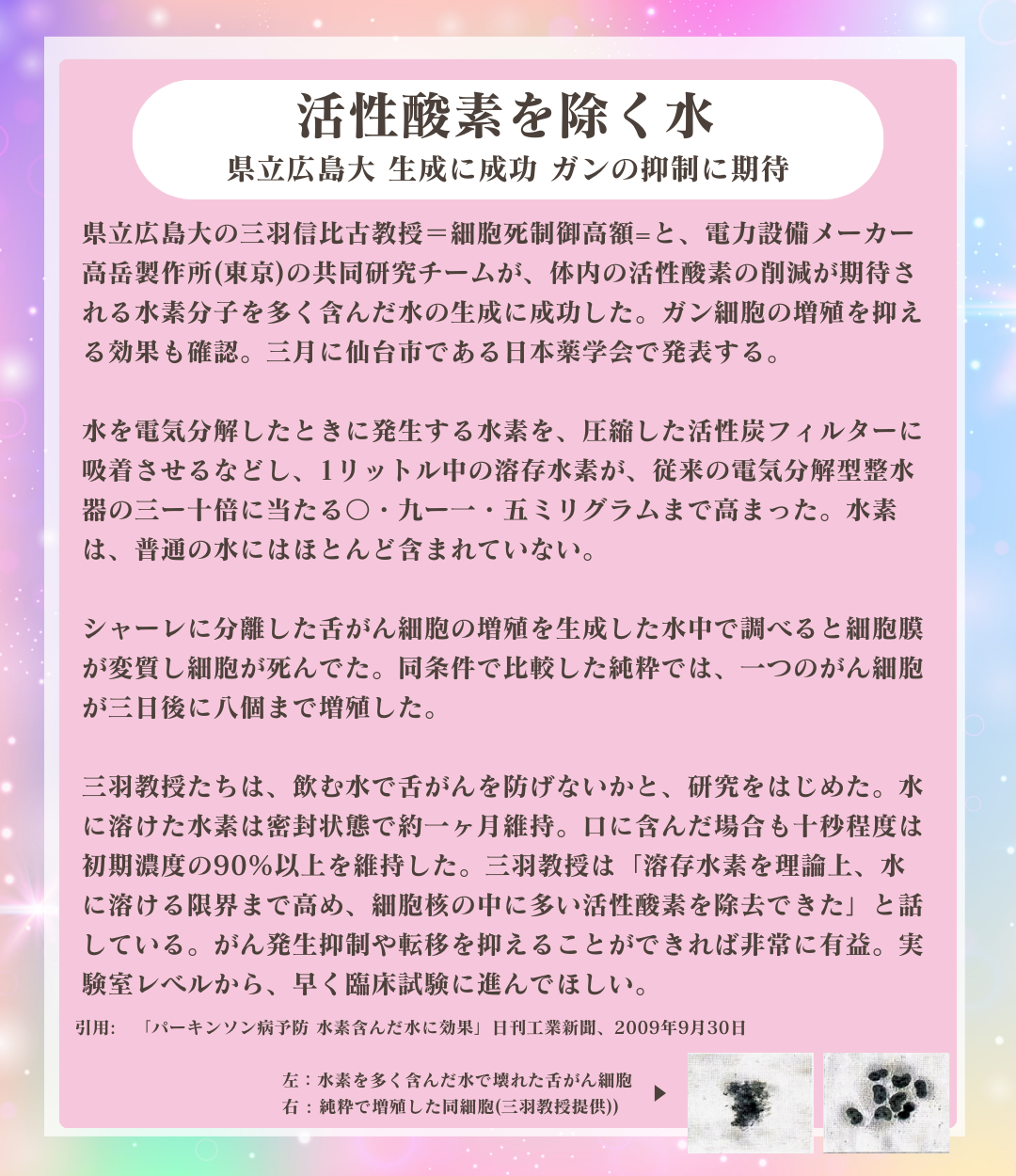 Lakshmi Enzyme〜ラクシュミーエンザイム〜(90包)1日3回