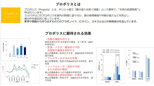 TCELLMAX(60粒)幹細胞サプリ