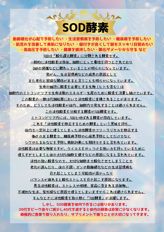 Lakshmi Enzyme〜ラクシュミーエンザイム〜(90包)1日3回