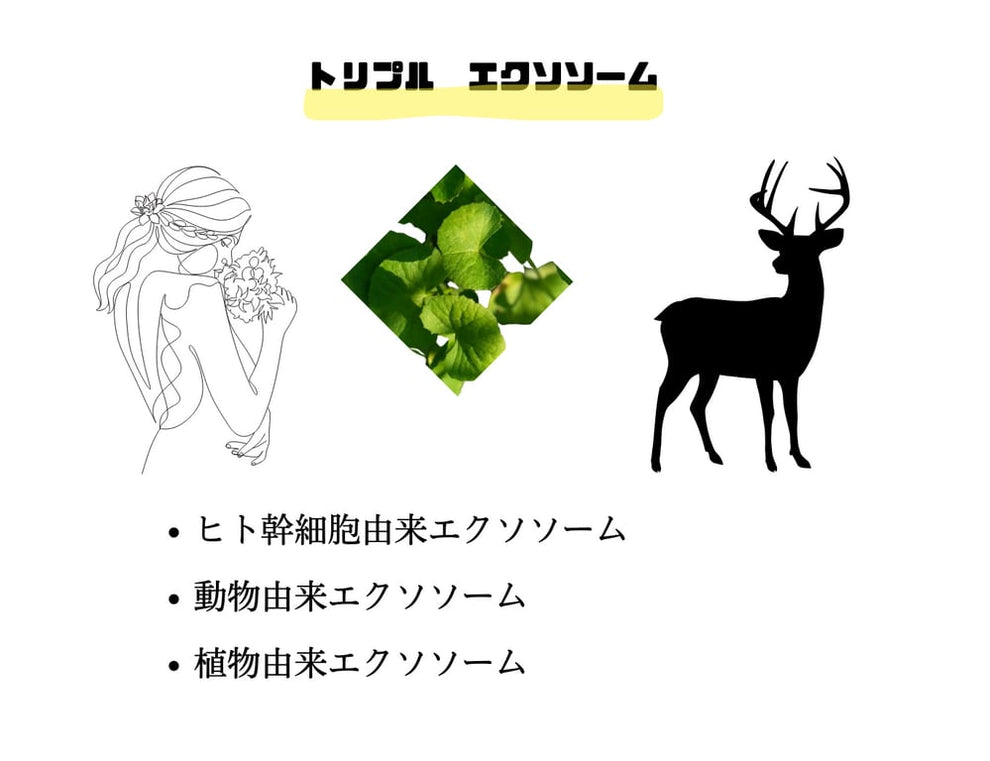 AAPE プレミアムエッセンス 6mL/本 2本入 幹細胞順化培養液配合(導入美容液)