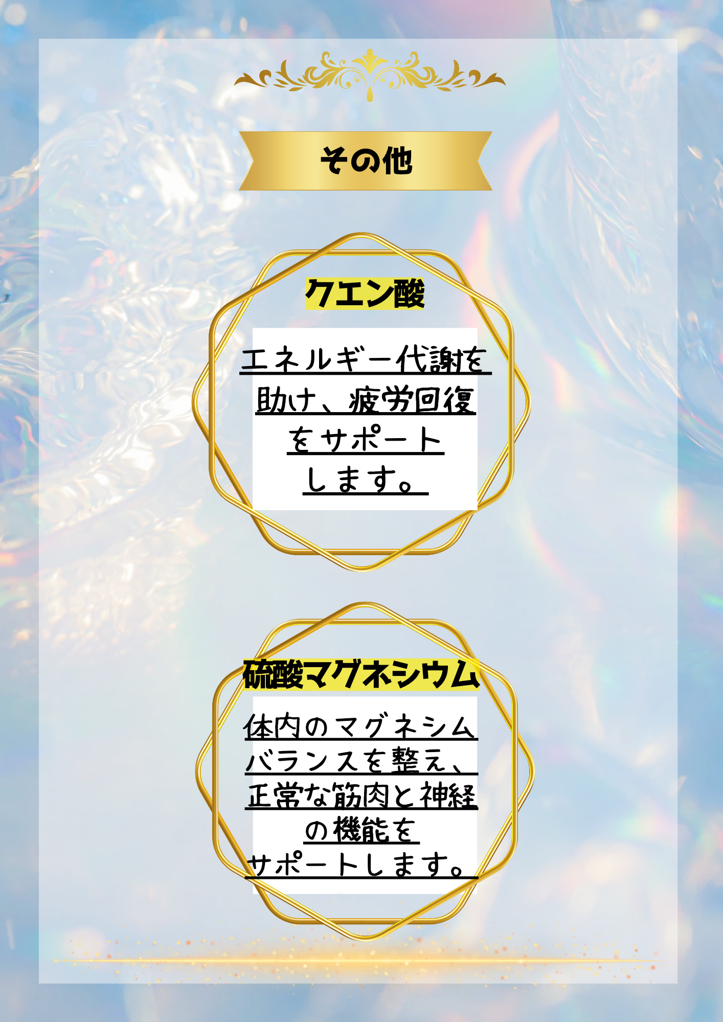 Lakshmi Enzyme〜ラクシュミーエンザイム〜(90包)1日3回