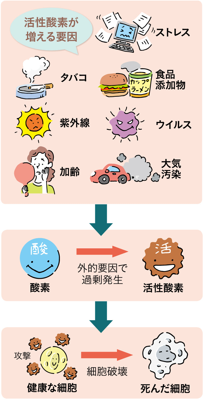 Lakshmi Enzyme〜ラクシュミーエンザイム〜(90包)1日3回