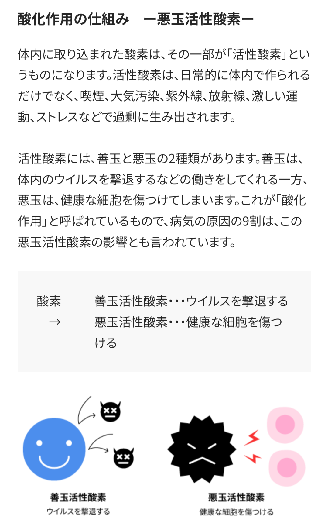 Lakshmi Enzyme〜ラクシュミーエンザイム〜(90包)1日3回