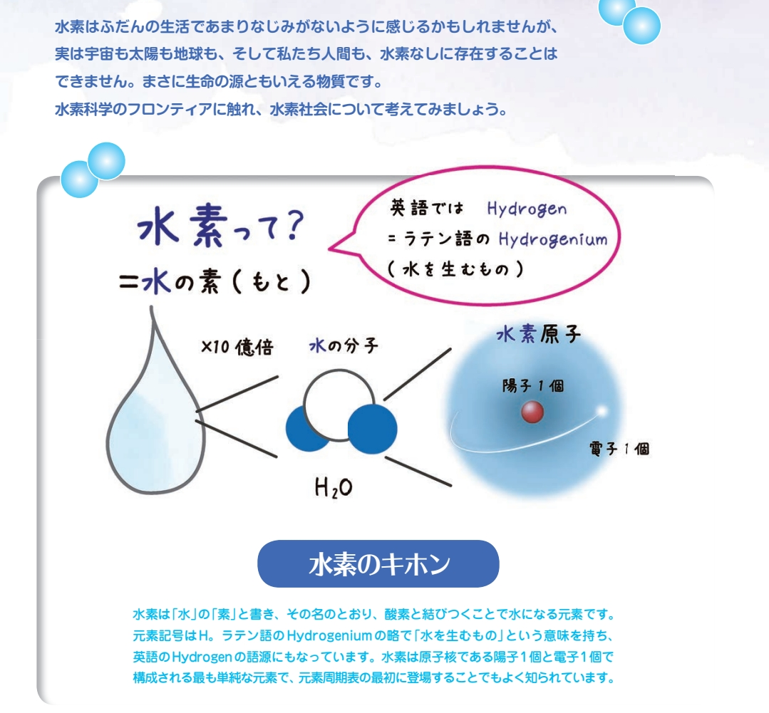 Lakshmi Enzyme〜ラクシュミーエンザイム〜(90包)1日3回