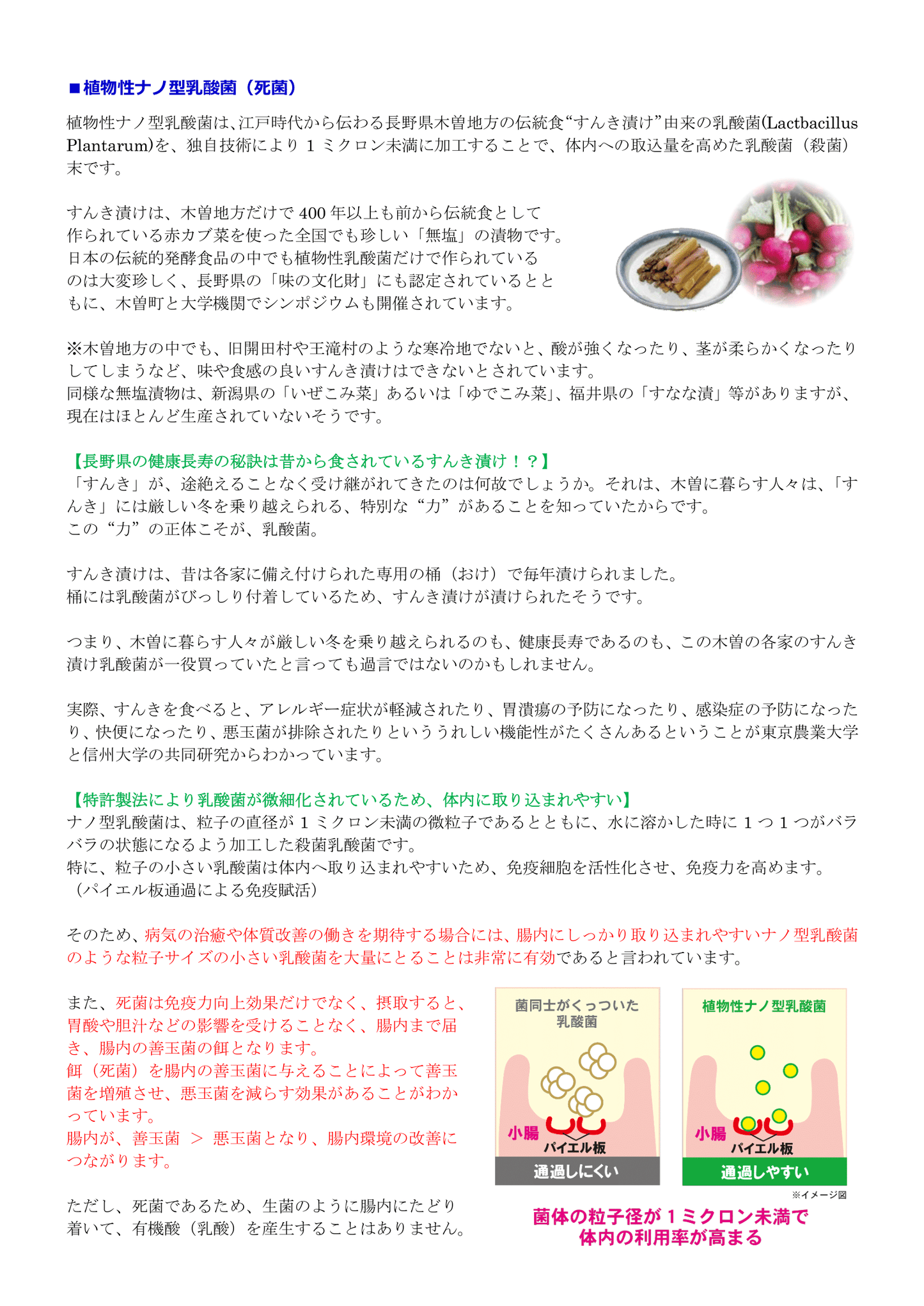 乳酸菌(プロバイオティクス、プレバイオティクス、バイオジェニックス、ビタミンB群8種類)