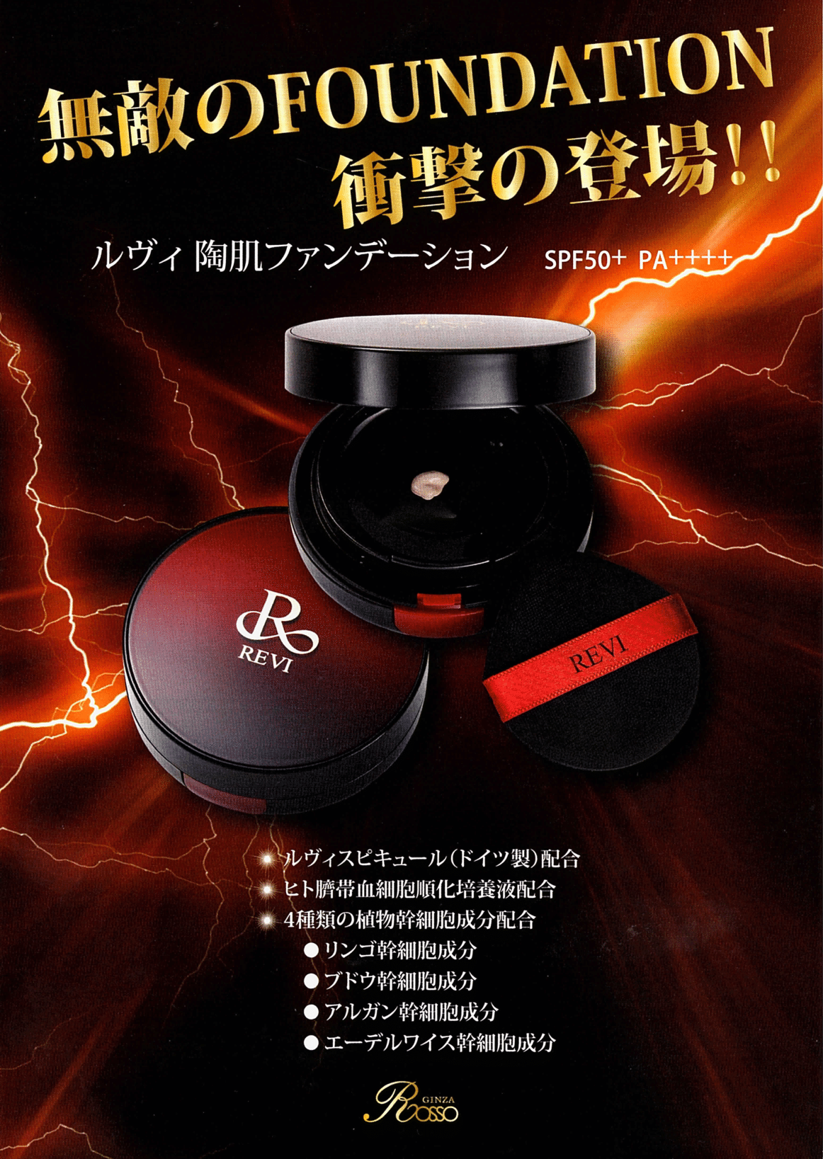 Revi陶肌ファンデーションSPF50+ PA++++(15g)