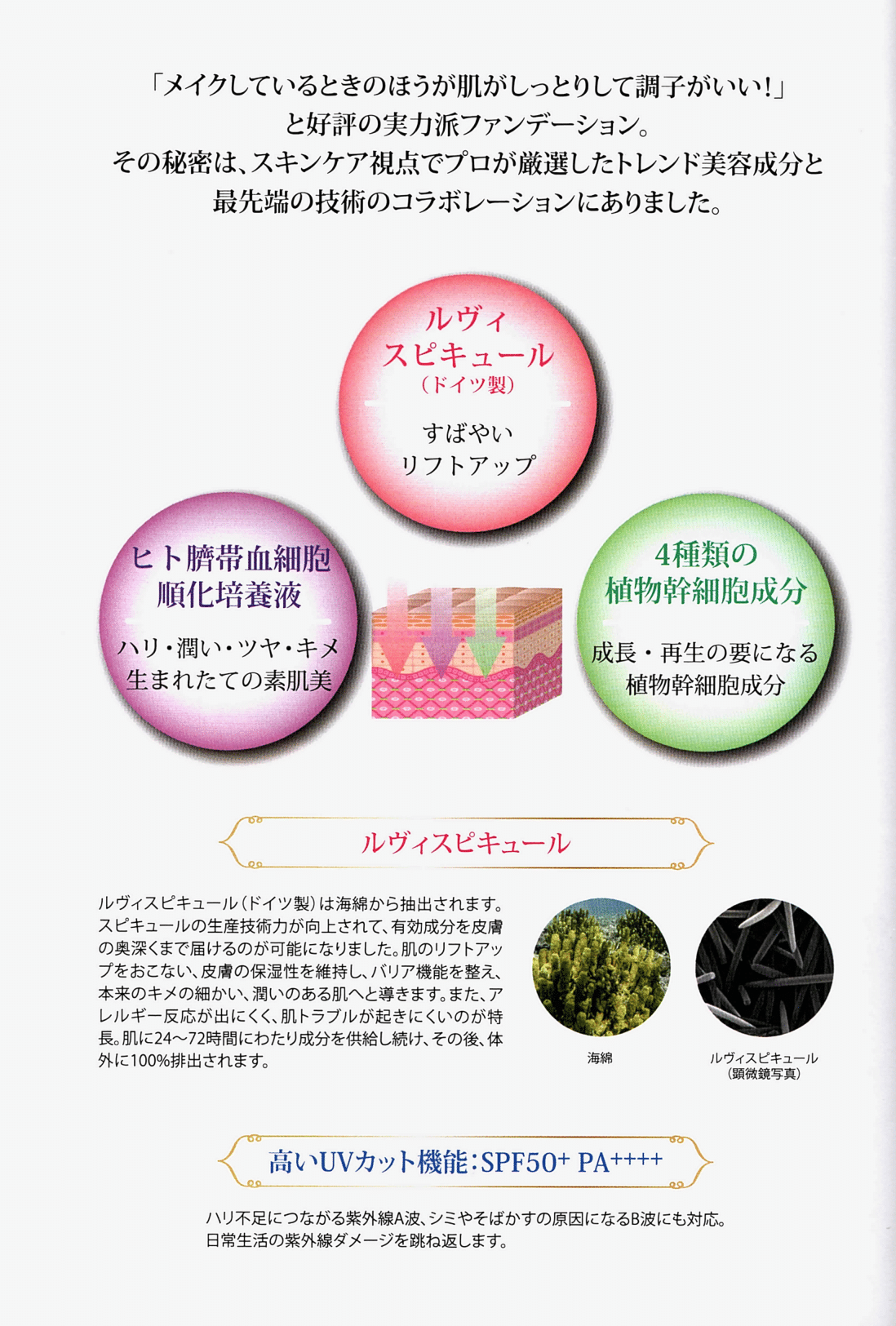 Revi陶肌ファンデーション SPF50+ PA++++【レフィル】(15g)