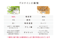 コラーゲン×NMNプロテイン