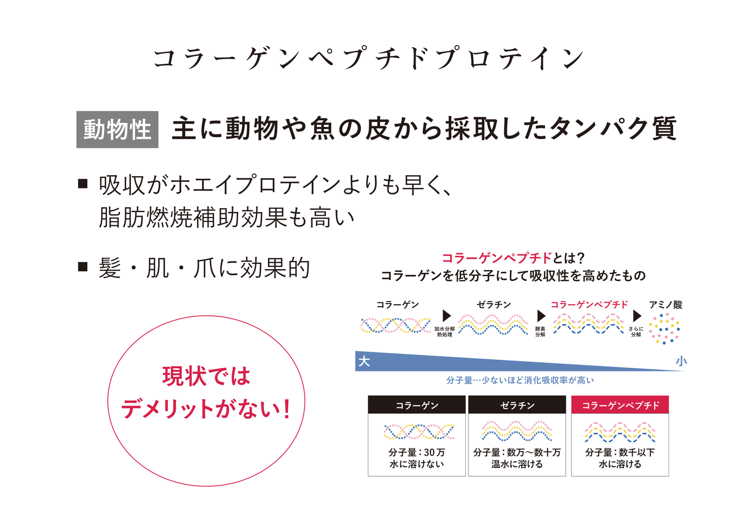 コラーゲン×NMNプロテイン