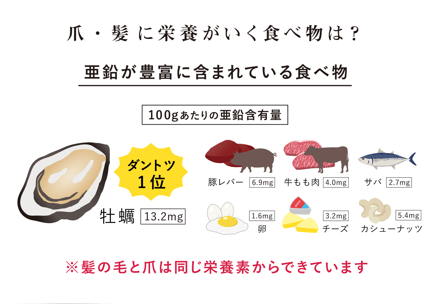 コラーゲン×NMNプロテイン