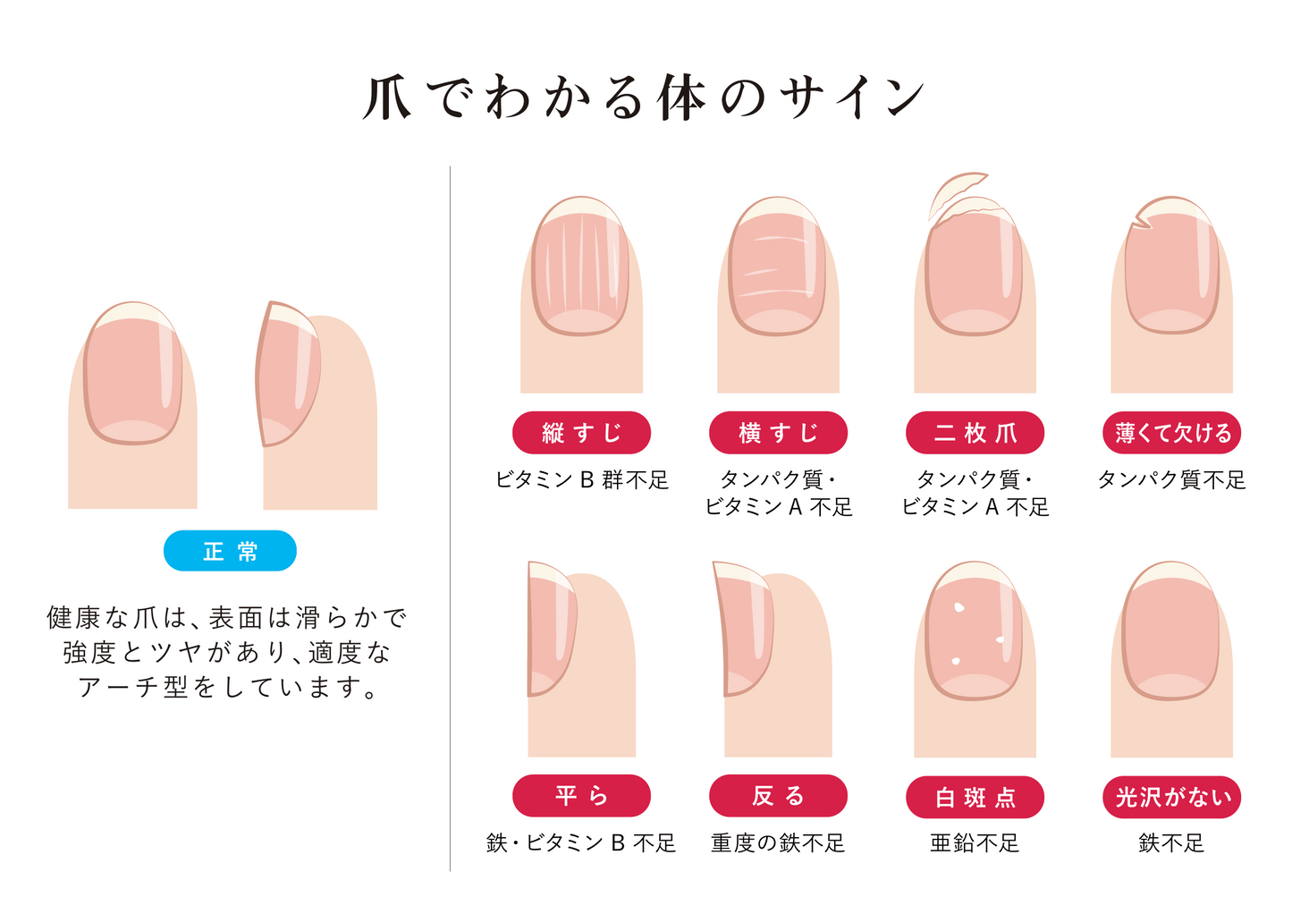 コラーゲン×NMNプロテイン