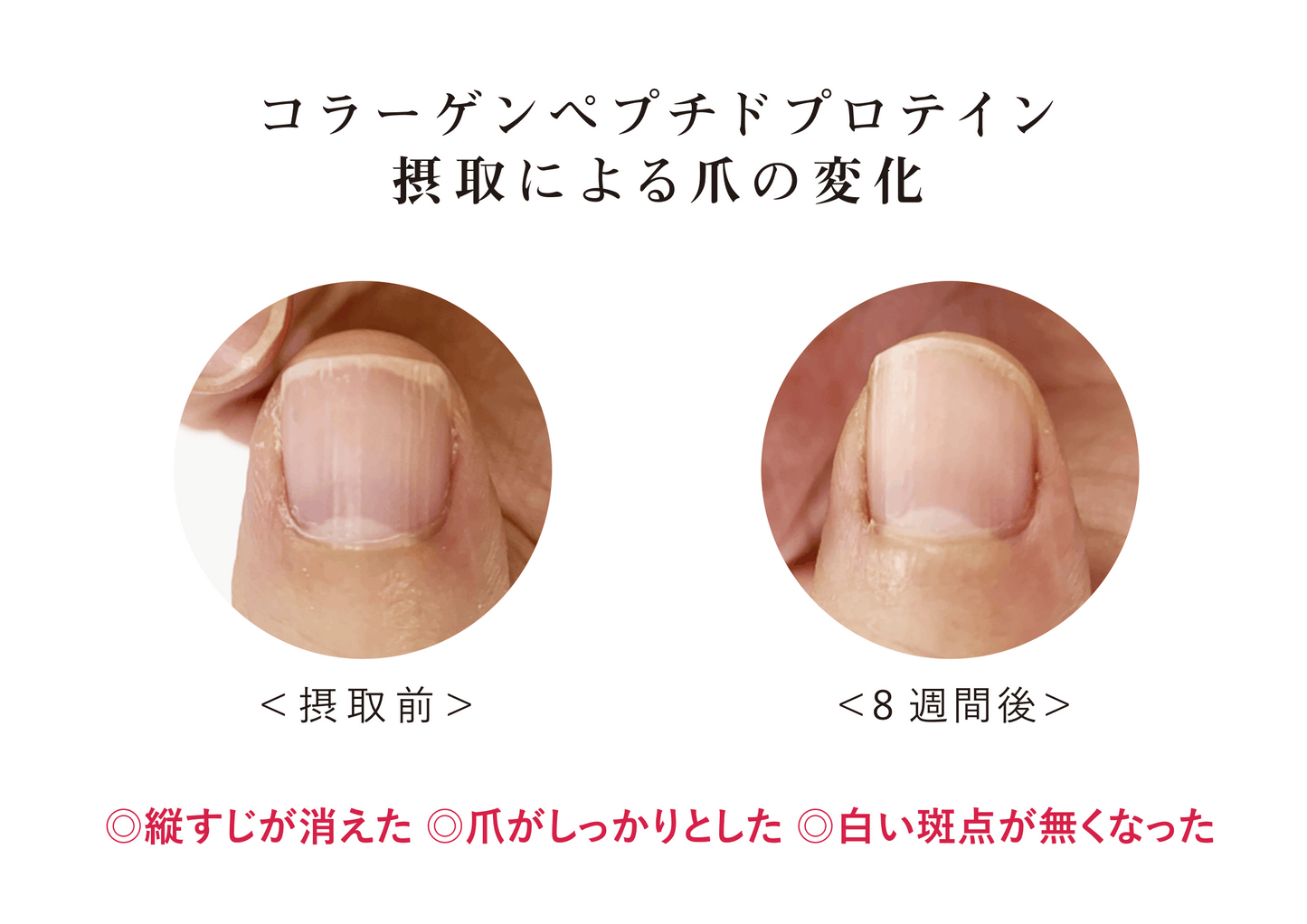 コラーゲン×NMNプロテイン
