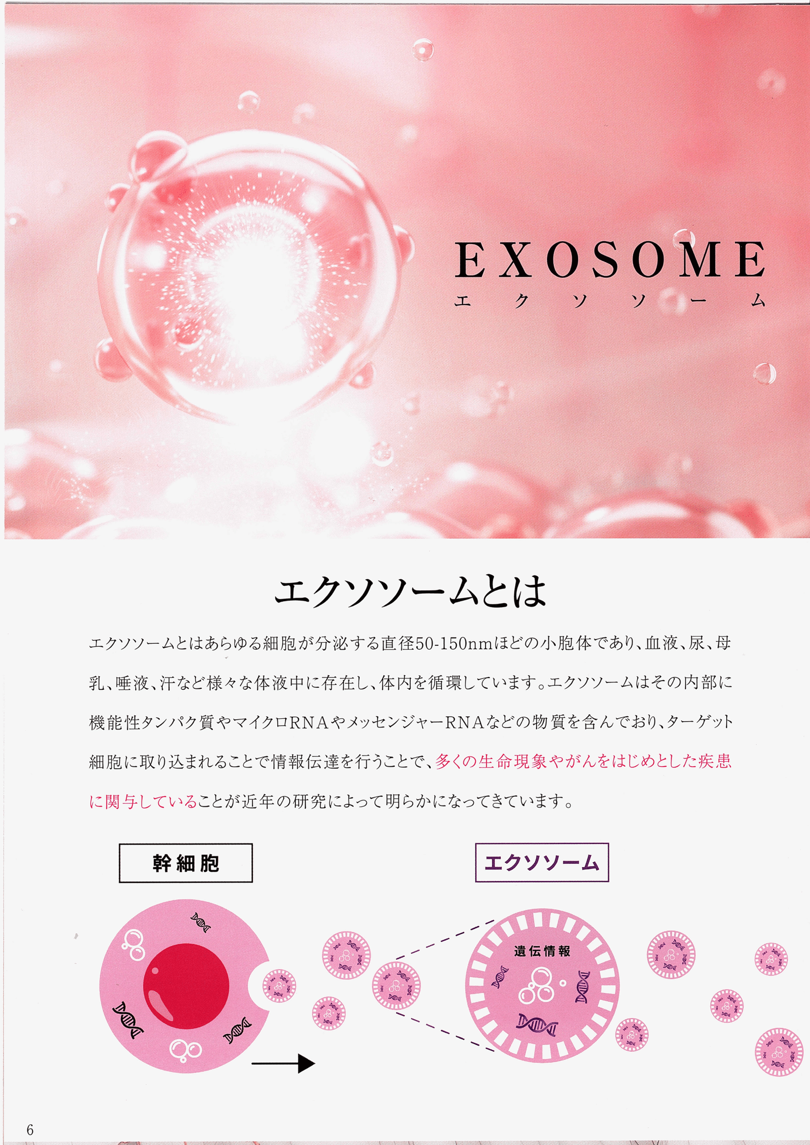 Reviエクソソーム モイストエッセンス(50ml)【ブースター】 – カリスマ