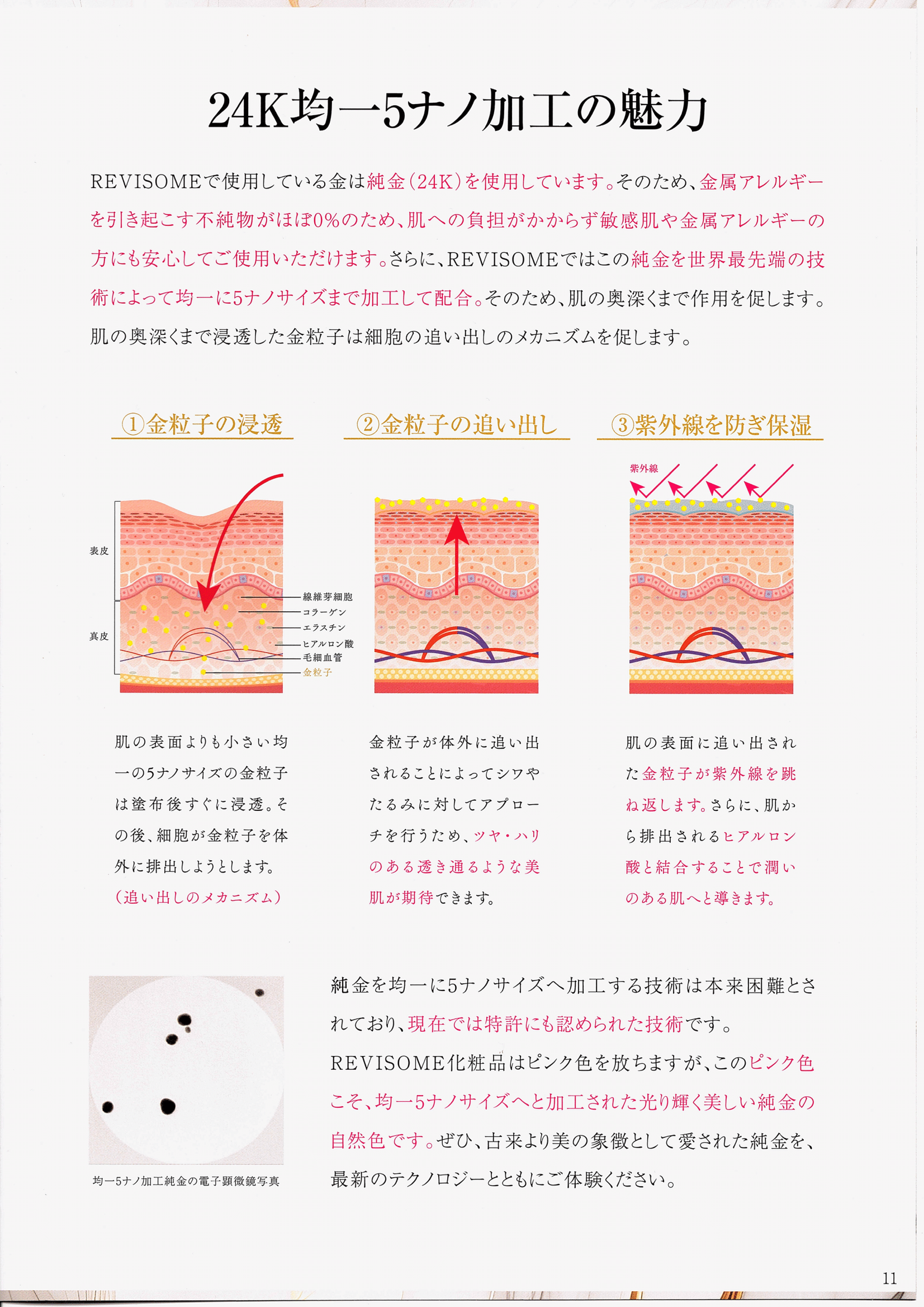 エクソソーム5点セット – カリスマ美容家Chika 公式通販サイト