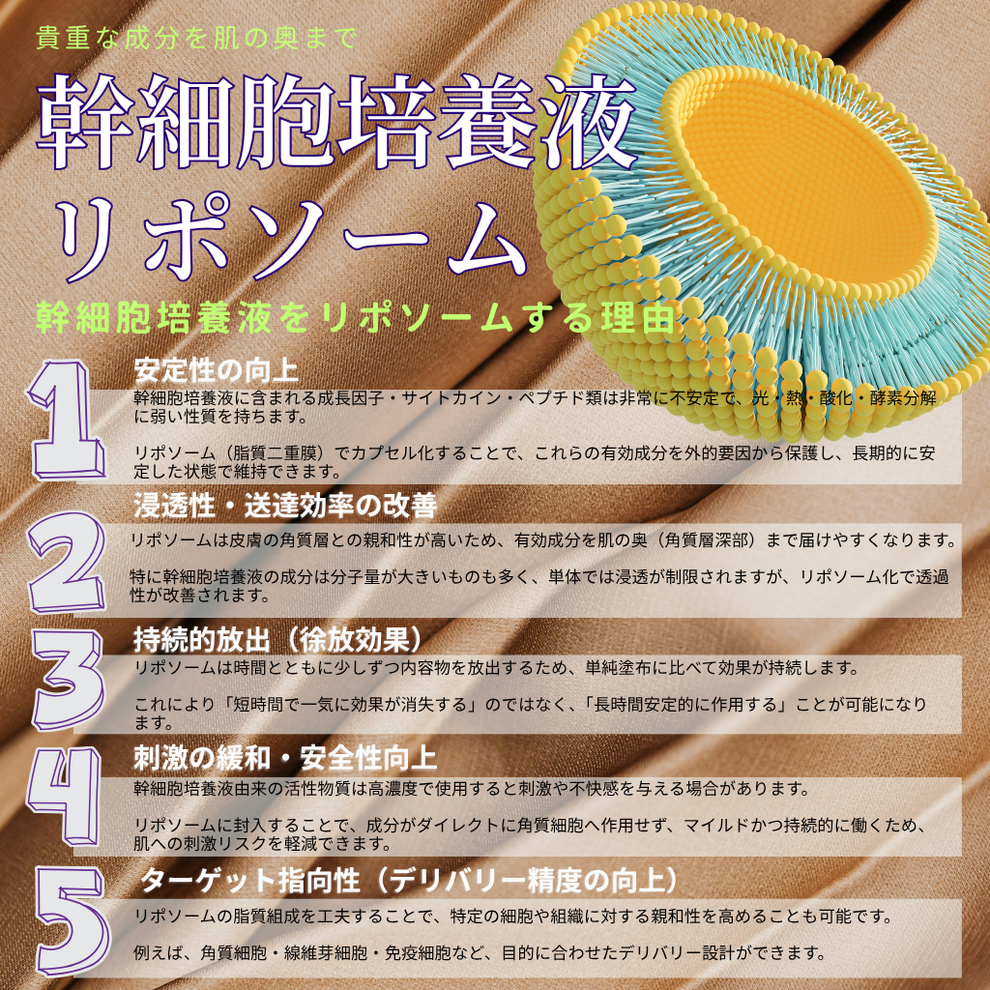 [LUMIDOR] SX REJUV TONER(200ml)化粧水
