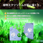 [LUMIDOR] SX REJUV TONER(200ml)化粧水