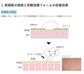 炭酸泡洗顔フォーム(缶160g)
