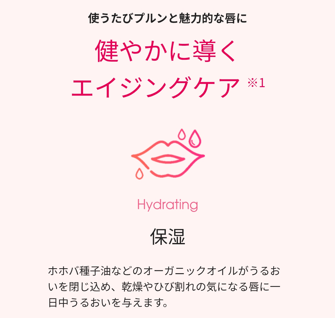 【数量限定】リップアディクト スペシャルコフレ