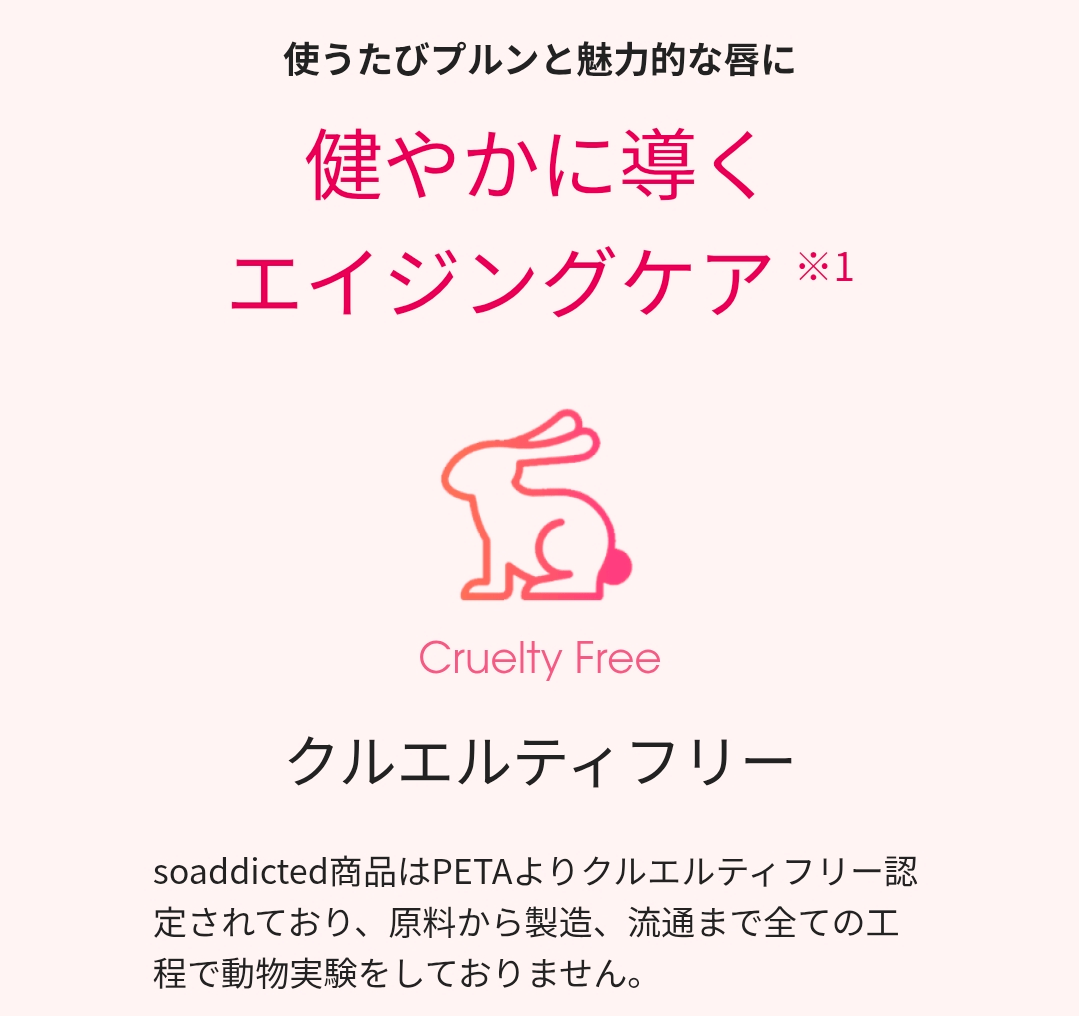 【数量限定】リップアディクト スペシャルコフレ