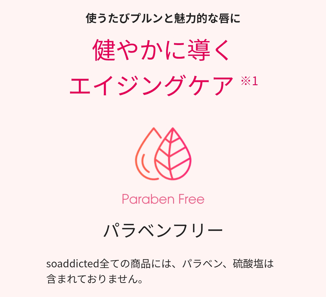 【数量限定】リップアディクト スペシャルコフレ