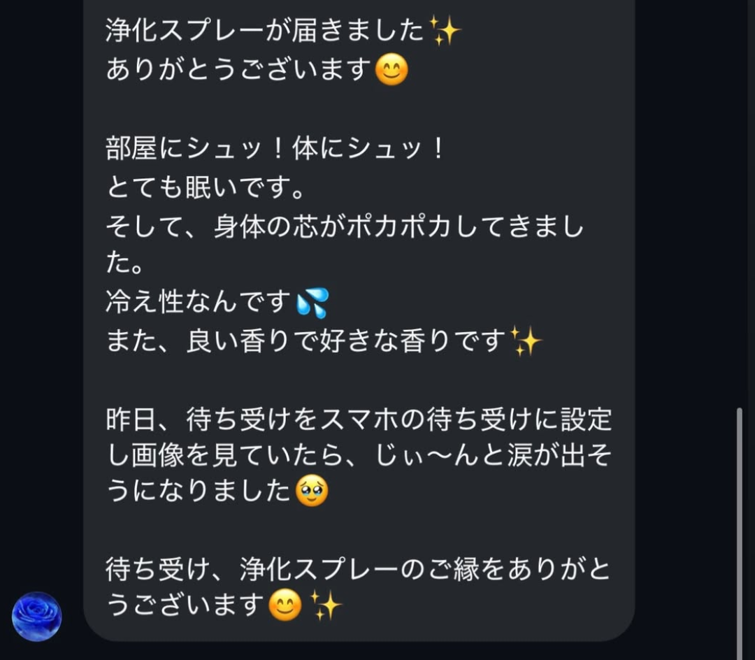 浄化・エネルギー調整スプレー(50ml)【⚠️カード決済不可、お振込のみ対応】