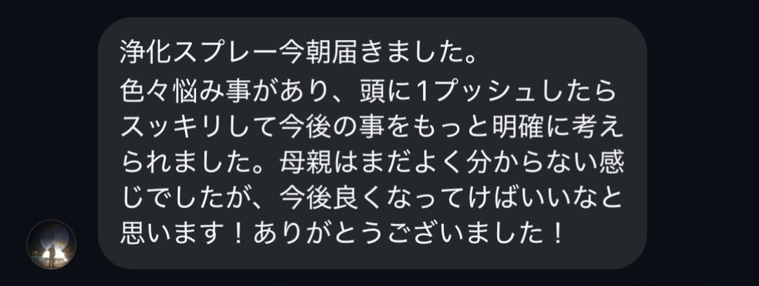 浄化・エネルギー調整スプレー(50ml)【⚠️カード決済不可、お振込のみ対応】