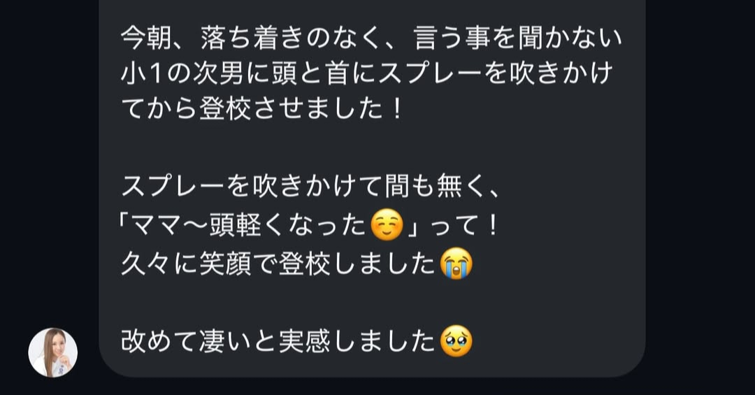 浄化・エネルギー調整スプレー(50ml)【⚠️カード決済不可、お振込のみ対応】