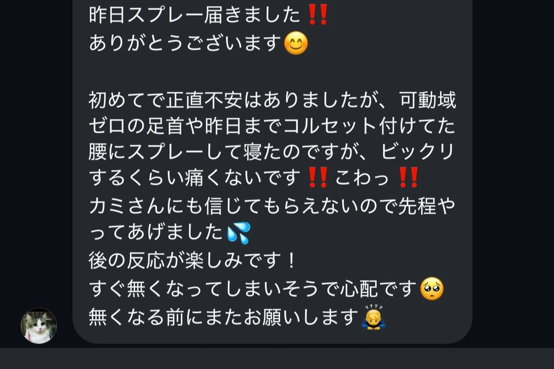 浄化・エネルギー調整スプレー(50ml)【⚠️カード決済不可、お振込のみ対応】
