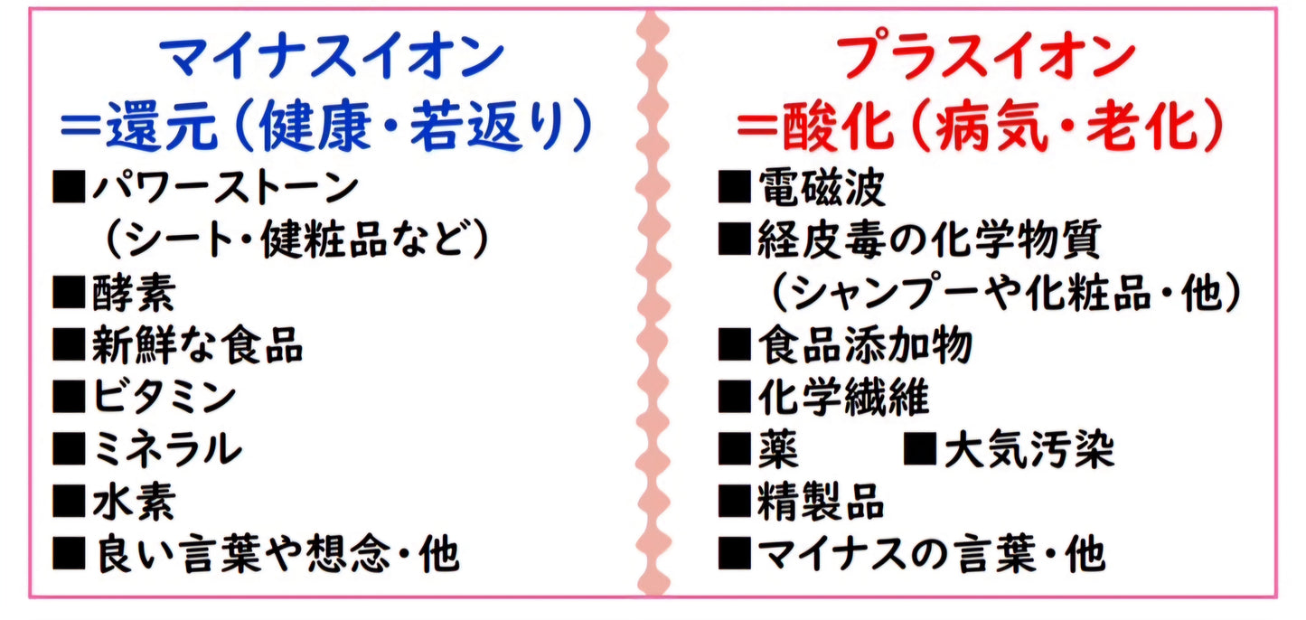 地球を愛するシャンプー(1L)