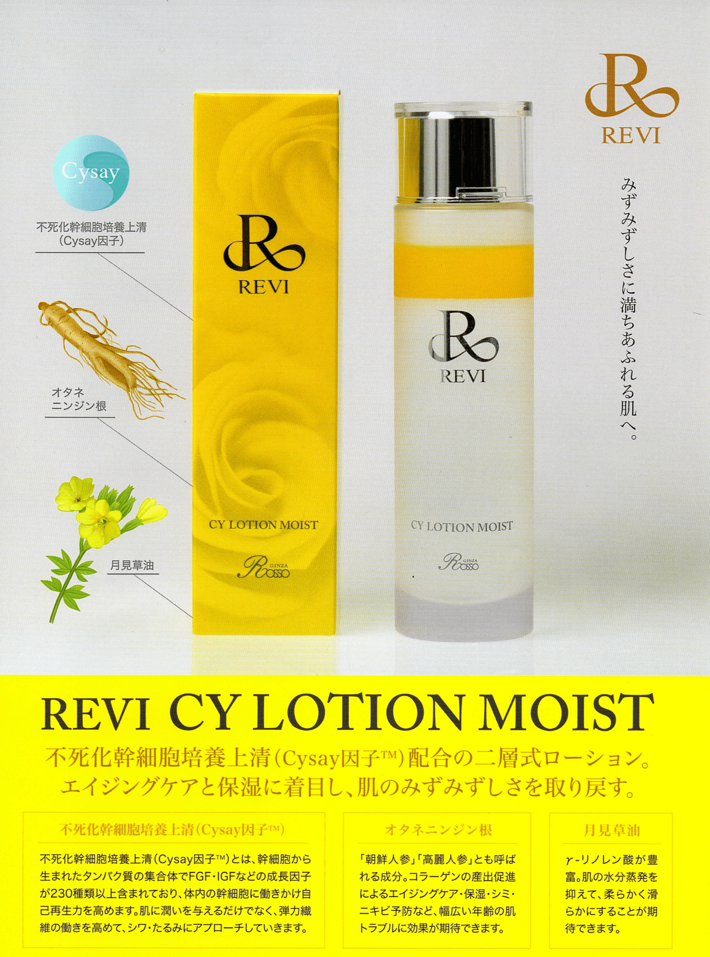 Revi CY ローションモイスト(150ml)【化粧水】